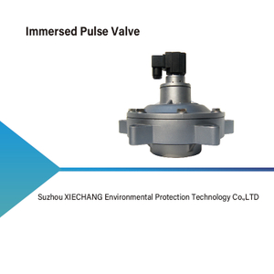 Immersed Pulse Valve