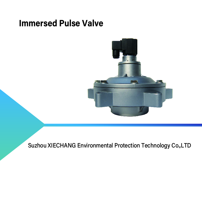 Immersed Pulse Valve