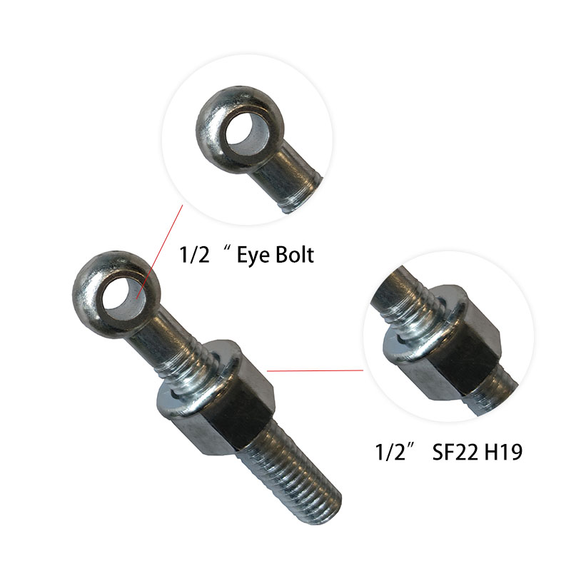 1/2" Eye Bolt and 1/2 SF22 H19