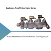Explosion-Proof Electromagnetic Pulse Valve Series