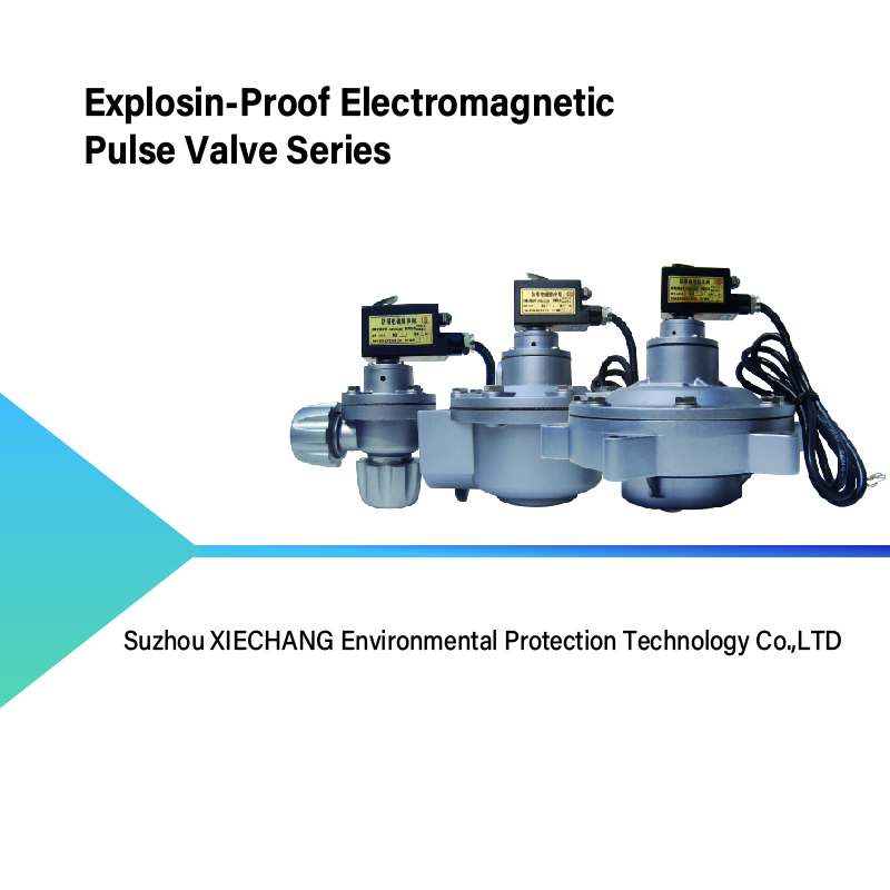 Explosin-Proof Electromagnetic Pulse Valve Series