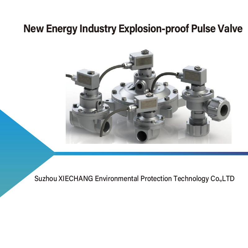 New Energy Industry Explosion-proof Pulse Valve