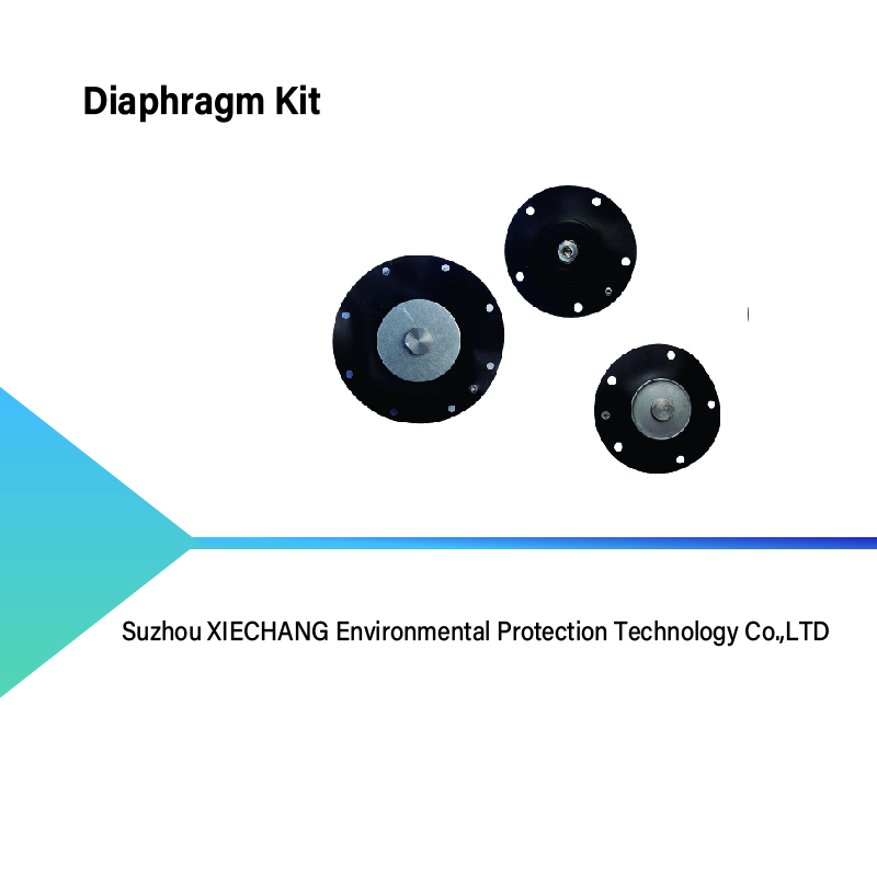 Diaphragm Kit